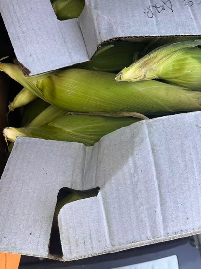 柳州风味玉米糖水（1碗）